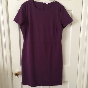 Old Navy Purple Pointe-Knit Sheath Dress Size XL